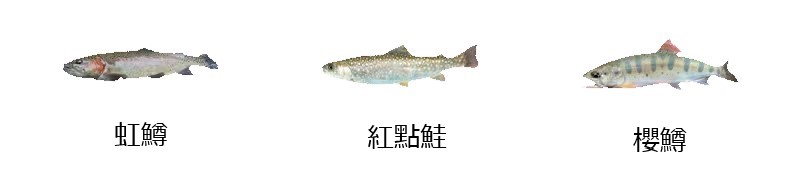 23 LUREMATIC (溪釣．鱒魚款)